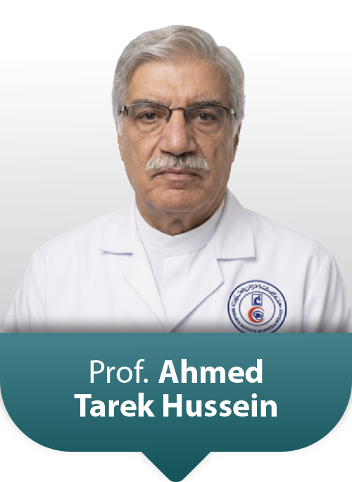 Prof: Ahmed Tarek hussein Elemary