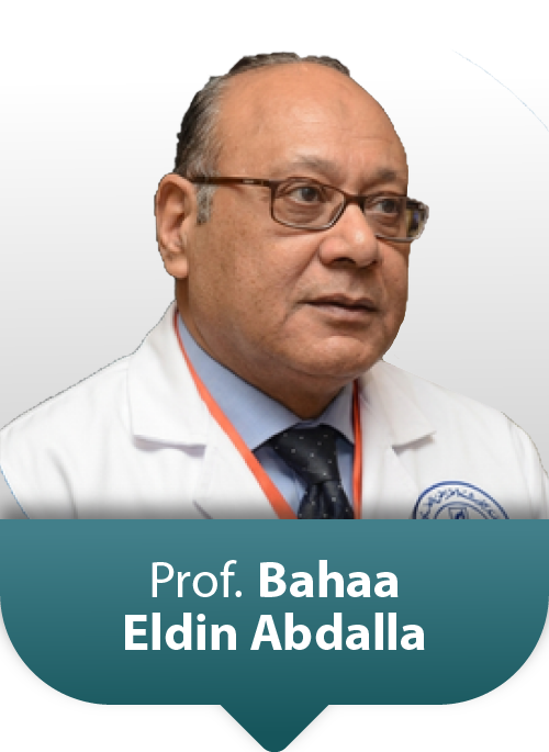 Prof: Bahaa Eldin Abdalla Hassan