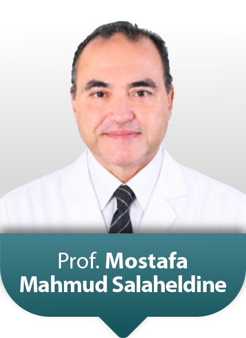 Prof: Mostafa Mahmud Salaheldine Mostafa Amin