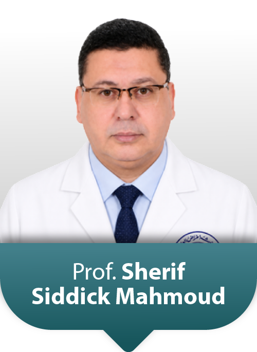 Prof: Sherif Siddick Mahmoud