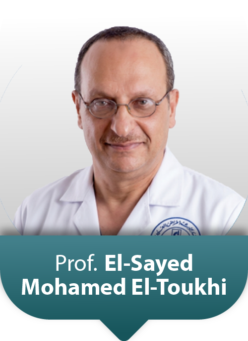 Prof: El-SAYED MOHAMED EL-TOUKHI