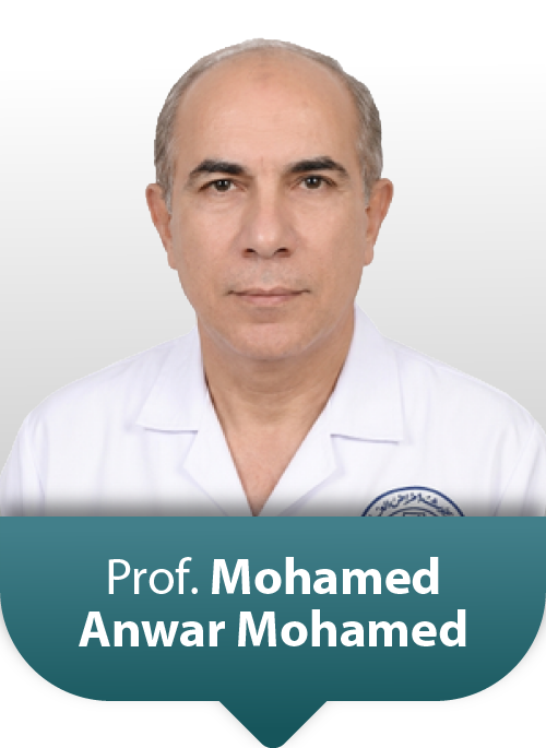 Prof: Mohamed Anwar Mohamed Shalaby