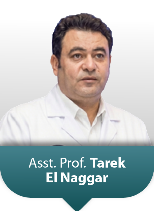 Asst.Prof: Tarek Elnaggar
