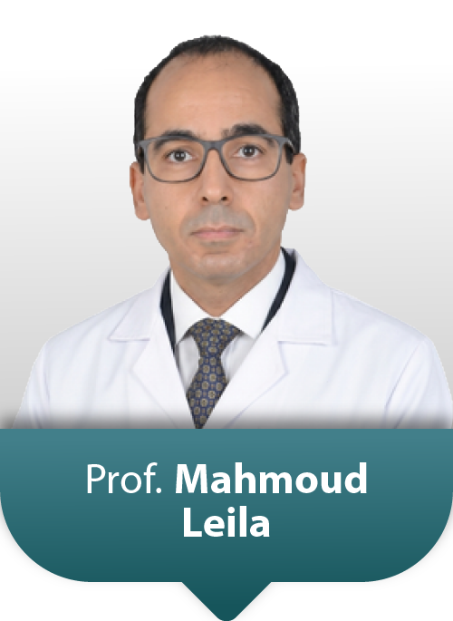 Prof: Mahmoud Leila