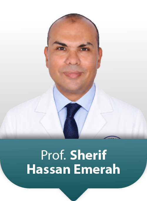 Prof: Sherif Hassan Emerah