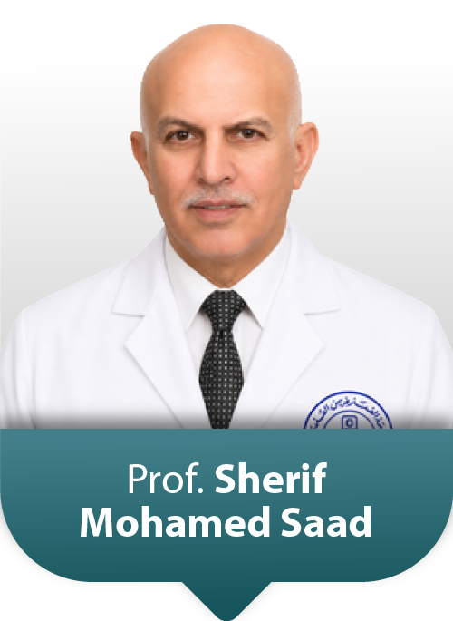 Prof: Sherif Mohamed Saad