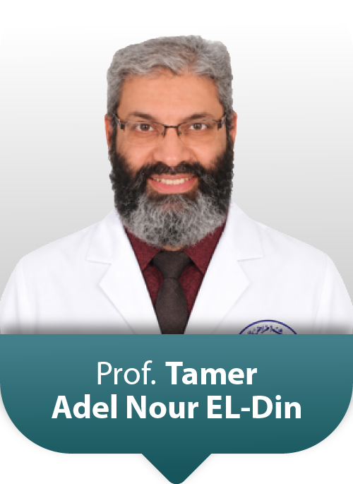 Prof: Tamer Adel Nour El-Din
