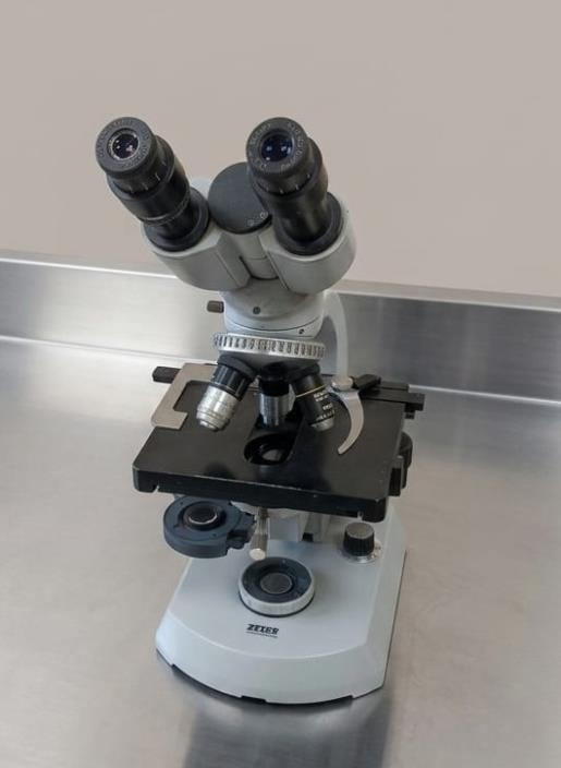 Microscope