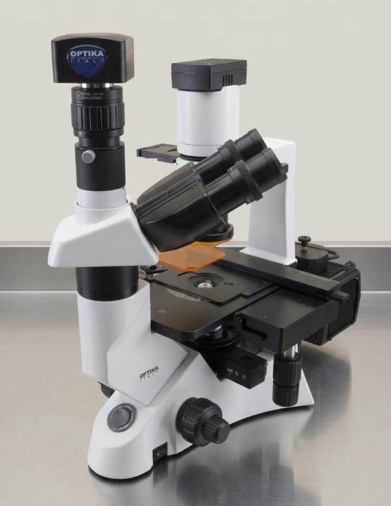 Inverted Fluorescence Microscope