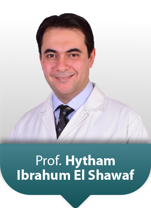 Hytham Ibrahim El Shawaf